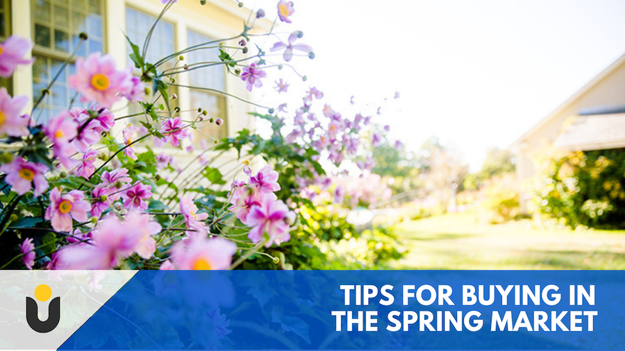 TIPS FOR BUYING IN THE SPRING MARKET